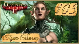 Divinity: Original Sin II ★ 103: Битва с Адрамалихом