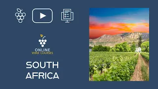 Wines of South Africa 🍇 Online Wine Courses ➡️ with QUIZ