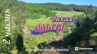 🌿🌲 Пешком по Латвии. 🌲🌿  Соло путешествие по тропе АМАТА. //2 часть.