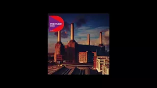 Pigs (Three Different Ones) - Pink Floyd - Remaster (03)