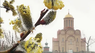 Премьера "Пасхальная" Авторская песня. Исполняет Маргарита Вигдорова.