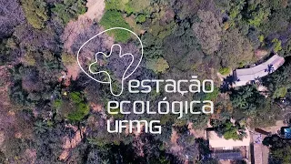 Estação Ecológica da UFMG completa 30 anos de preservação de áreas verdes