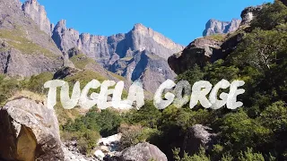 Tugela Gorge & Falls | Amphitheatre | Northern Drakensberg | #4K #DJIMINI2