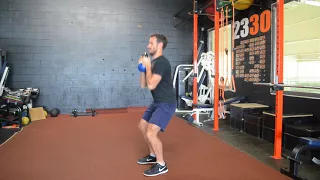 Goblet Squat - Bicep Curl