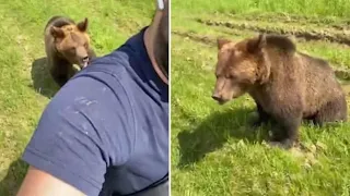 Circus bear chases fearless man for his ice cream in Russia