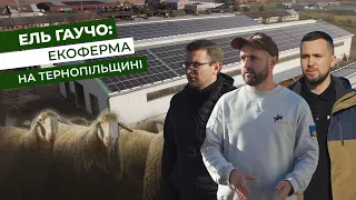 Ель Гаучо: вівці, сонячні панелі і зелений тариф. Репортаж з Тернопільщини | Latifundist