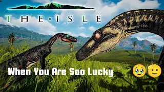 When you are soo skilled 🤣 with Troodon || The Isle Evrima