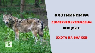 Охотминимум. Лекция 21. Охота на волка