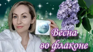 ВЕСНА ВО ФЛАКОНЕ🪻🪵💦МЕЧТАЛА О НЕМ