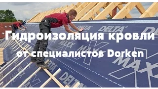 Это шедевр! Гидроизоляция кровли | Крыша под гидроизоляцией Delta(Dorken)