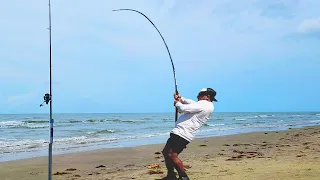 Beach Camping and Fishing leads to Insane 6ft Monster Fish!