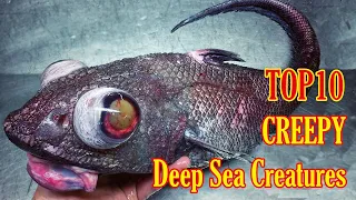 TOP 10 CREEPY Deep Sea Creatures Ever Discovered 💀