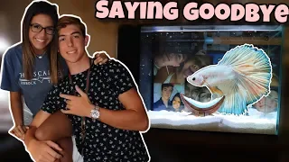 Surprising Her With Fish For College Dorm!? (Saying Goodbye - SAD)