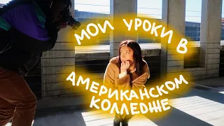 Как Устроиться На Работу В Америке (vlog 99) || Polina Sladkova