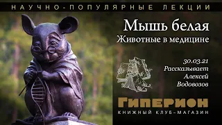 Мышь белая - часть 1