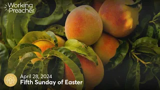 Sermon Brainwave 962: Fifth Sunday of Easter - April 28, 2024