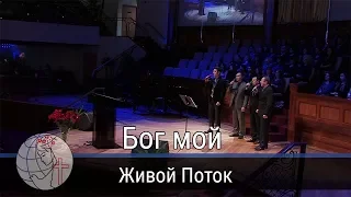 Живой Поток - песня "Бог мой" Церковь Суламита