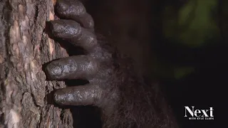 Colorado's Sasquatch museum gets a new addition