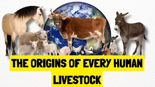 History of All Human Livestock