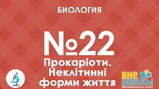 Онлайн-урок ЗНО. Биология №22. Прокариоты. Неклеточные формы жизни.