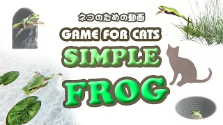 Game for cats - frog 1hour - simple