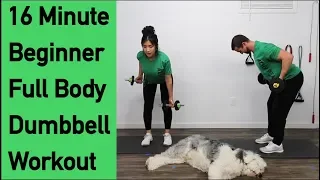 16 Minute Beginner Full Body Dumbbell Workout - Modifications For Each Workout With Demonstrations