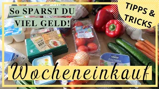 FOOD HAUL Essensplan GELD SPAREN Familien-Wochen-Einkauf PLANEN