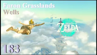 Zelda: TOTK - Faron Grasslands (shrine, well)