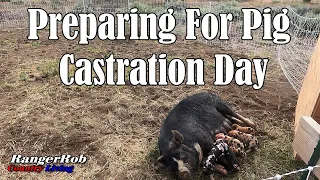 Prepare For Pig Castration Day & Estate Sale