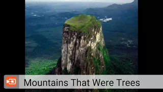 🏔️ Mountains That May Have Been MASSIVE Tree Stumps!!!