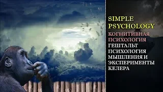 Когнитивная психология мышления #79. Гештальтпсихология мышления, инсайт и эксперименты Келера