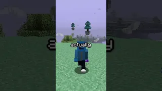 Old Minecraft SUCKS #shorts