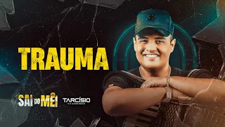 TRAUMA - Tarcísio do Acordeon (CD Sai do Mêi)