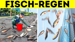 Aus dieser Regenwolke könnte es Fische regnen