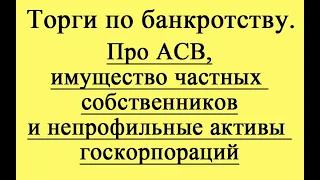 Про АСВ, имущество частных собственников и непрофильные активы госкорпораций.