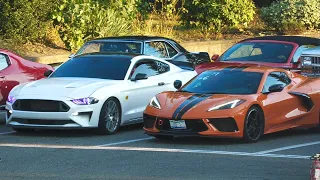 C8 Corvette vs Mustang - drag race