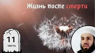 Хроники жизни. 11-я часть. Жизнь после смерти | Билял Асад (rus sub)