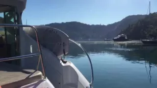 Ilha da Cotia - Paraty - Cimitarra 500