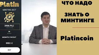 Платинкоин 2021.Что надо знать о минтинге Platincoin. Как здесь можно начать зарабатывать?