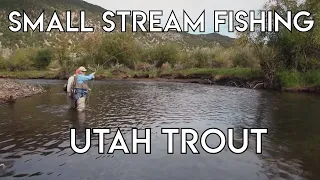Small Stream Tips & Techniques | Utah Trout