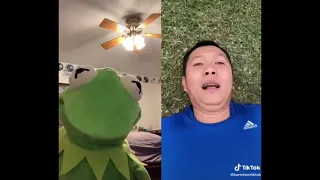 kermit on tiktok - compilation