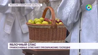 Яблочный Спас и яблоки ЯФО