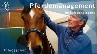 Pferdemanagement im Leistungssport - Ludger Beerbaum über die optimale Reiseplanung