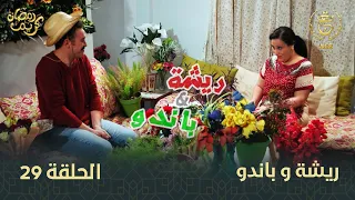 السلسلة الفكاهية "ريشة وباندو" العدد 29