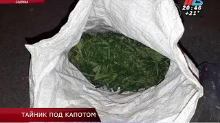 Под Камышином полицейские изъяли партию марихуаны из-под капота авто