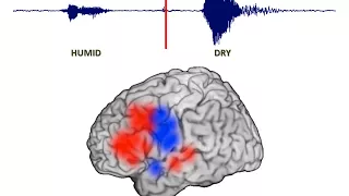 Tracking the Brain as it Generates an Antonym