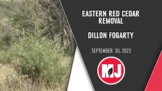 Eastern Red Cedar Removal | Dillon Fogarty | September 30, 2022