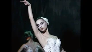 Lana Del Rey - Swan Song (Black Swan)