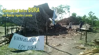 Comunidad Nativa BORA, sufrieron destrucción, solicitan nuestra ayuda y se la enviaremos