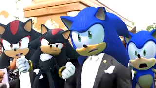 Sonic Prime Sonic vs Shadow - Coffin Dance Song (COVER)